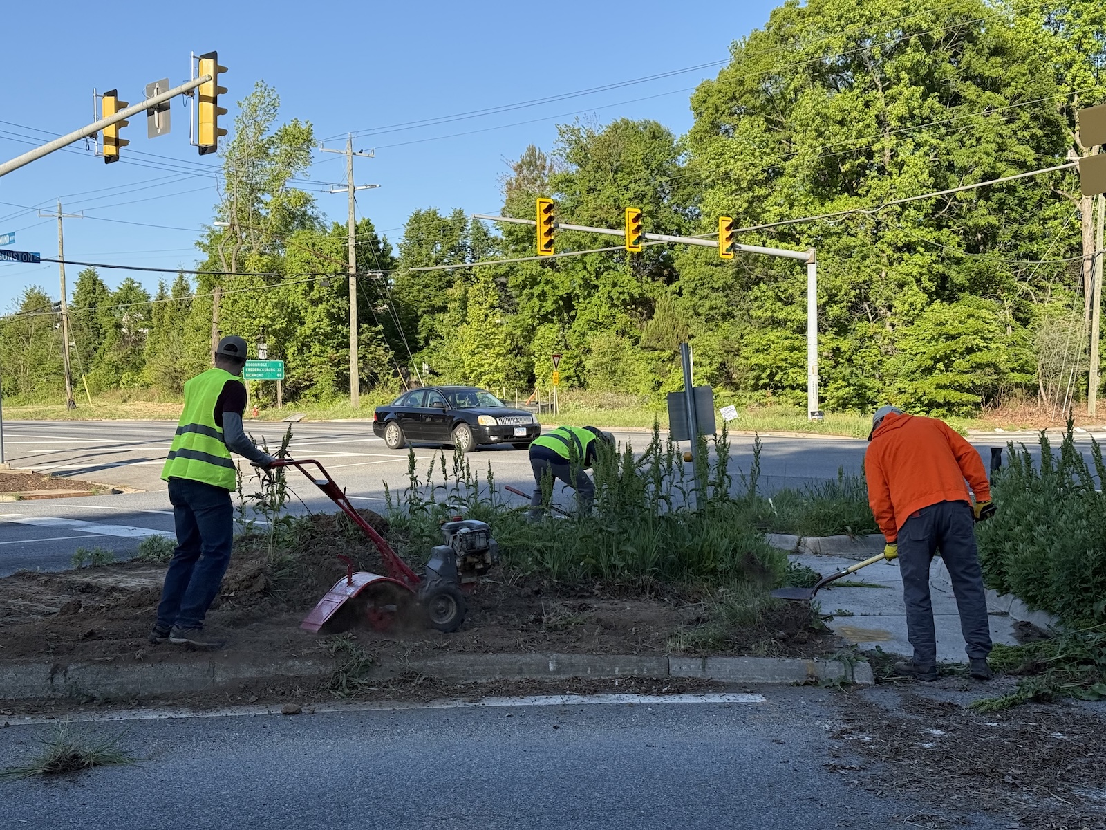 Beautify Lorton workday